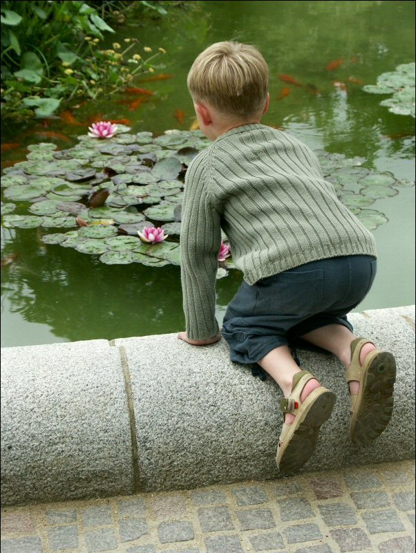 arthur-et-les-poissons.jpg