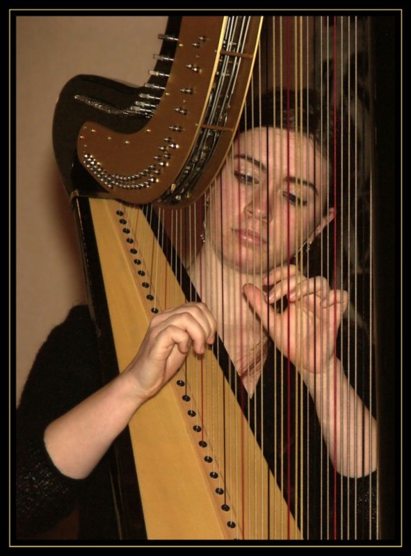 harpe1web.jpg
