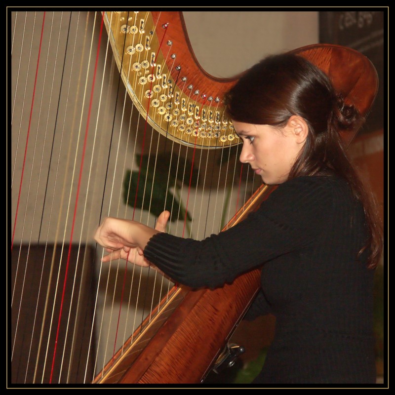 harpe2web.jpg