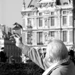 vieil-homme-oiseau.jpg