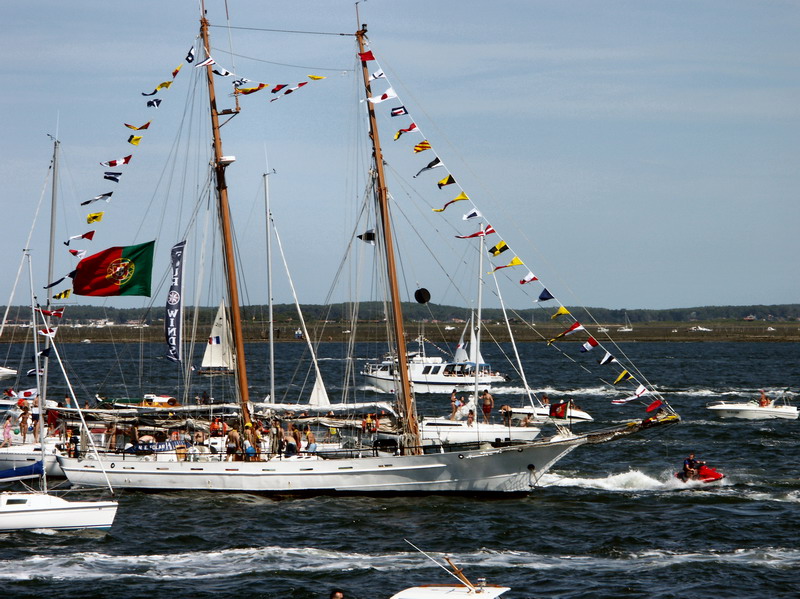 Arcachon0466.jpg