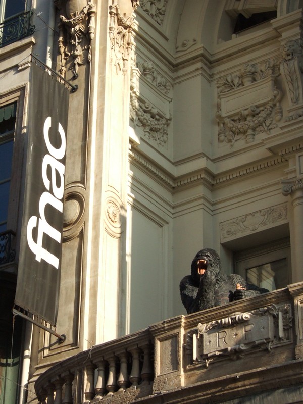 J0306.jpg