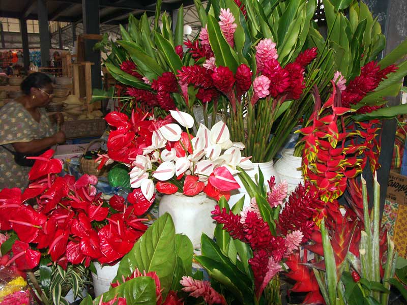 fleurs.jpg