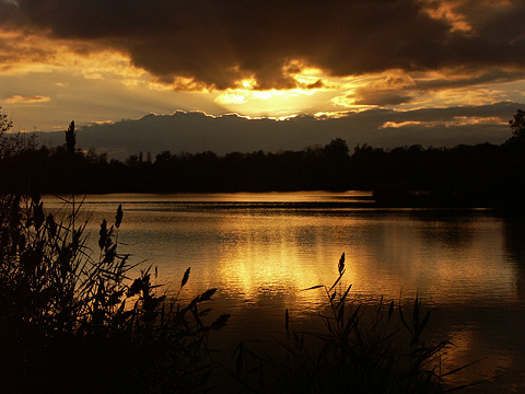 sunset.jpg