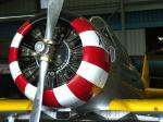 aviaweb8.jpg