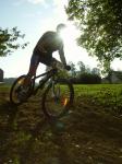 BDC_VTT_07.jpg