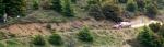 xsara_wrc_2.jpg