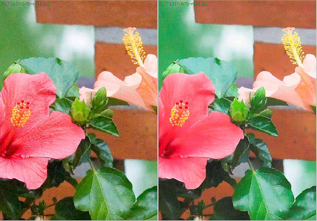 PICT1057-cr30-rse2enhance.jpg