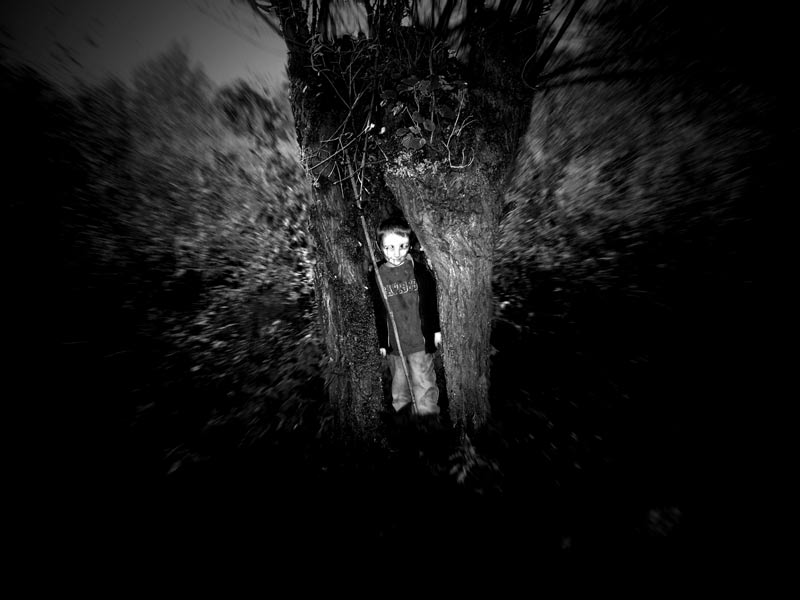 const-dans-saule-2web-mod.jpg