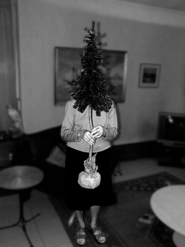 ma-mere-et-son-arbre-1web.jpg