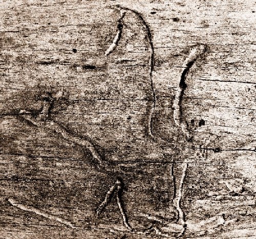 wood-1-web.jpg