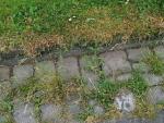 PICT0024.jpg