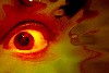 oeil-chryst-1web.jpg