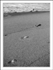 plage2.jpg