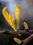 20060412fevier2.jpg