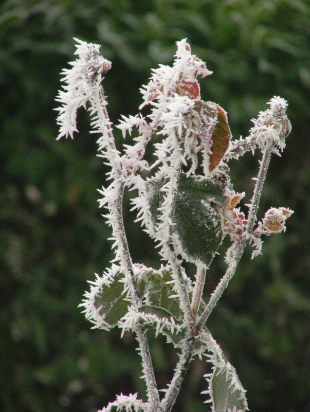 2005_1229hivres-20050054.jpg