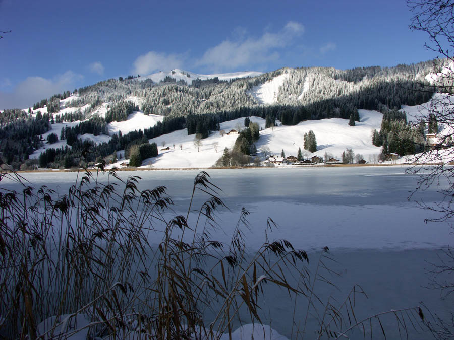 PICT0023.jpg