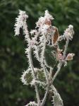 2005_1229hivres-20050054.jpg