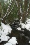 Neige61b.jpg