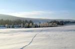 PICT0054.jpg