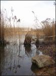 etang5.jpg