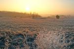 paysage600x400.jpg