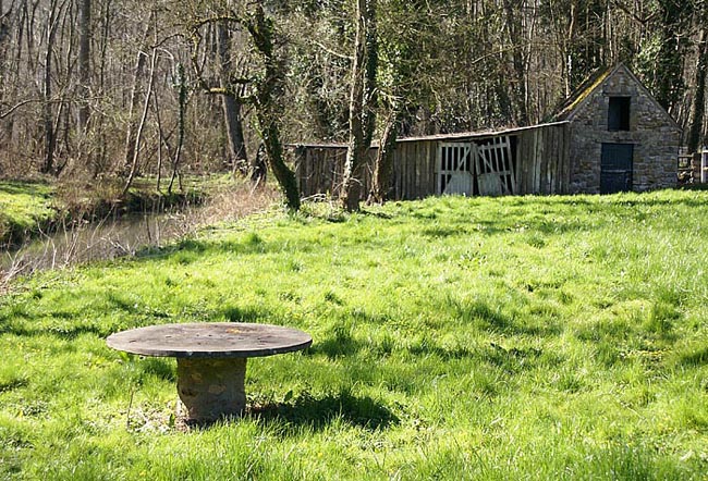 Jardin25.jpg