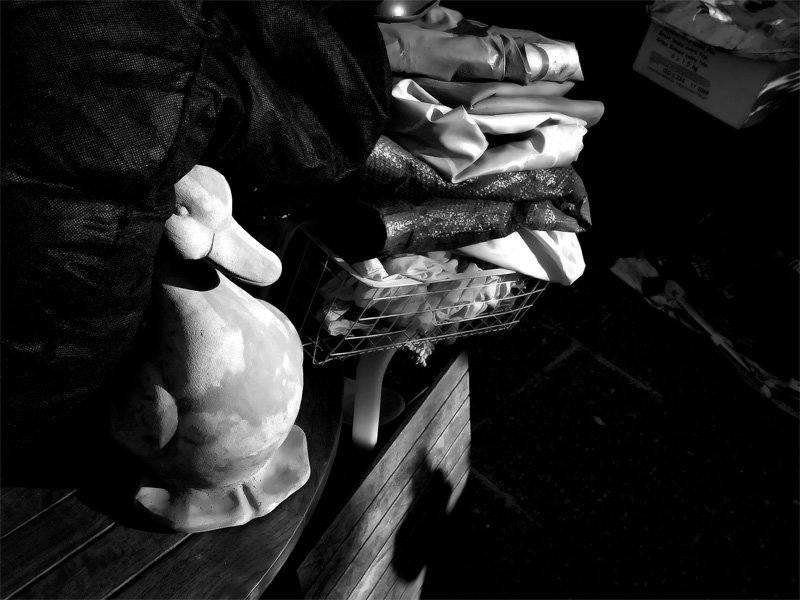 canard-jardin-1.jpg