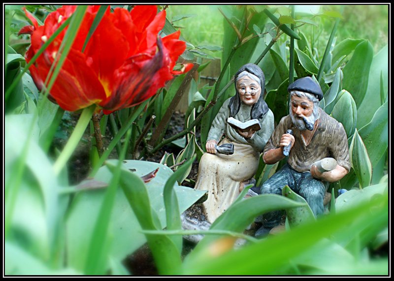 jardin.jpg