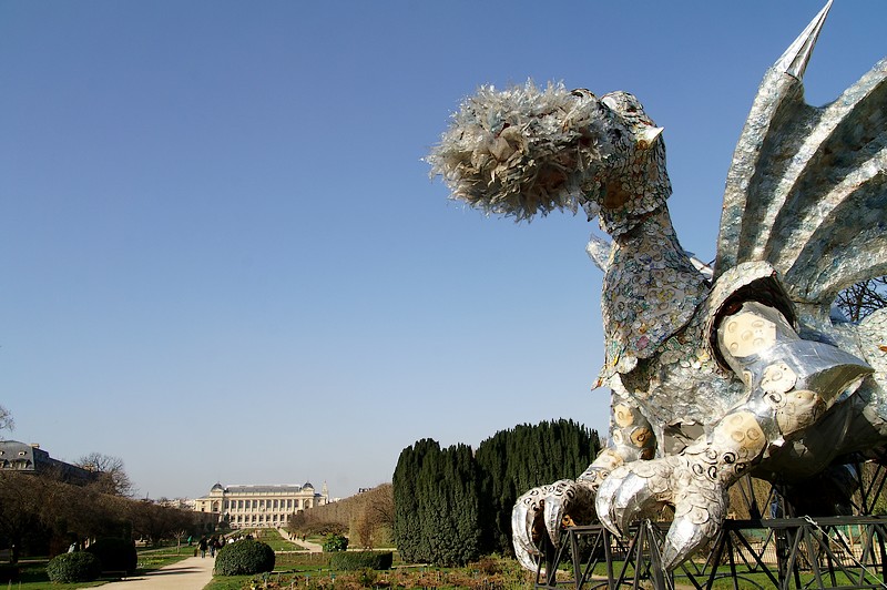 jardindragon.jpg