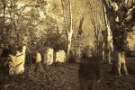 AutoPortrait_4763-V3-09-8b-690h-Acc.jpg