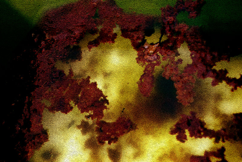 laquarium-1web.jpg