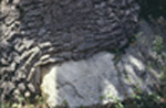 pierreetracine.jpg