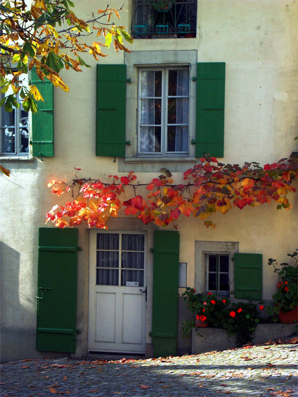Fenetre-1.jpg