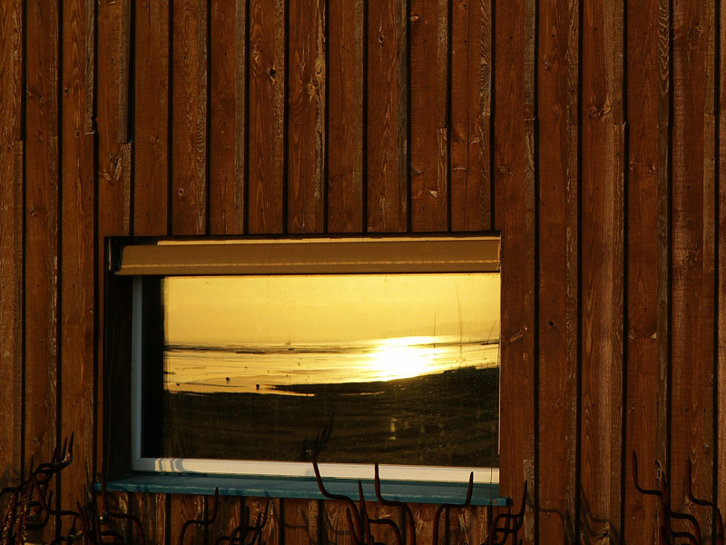 PICT2516.jpg