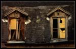 Fenetres..jpg