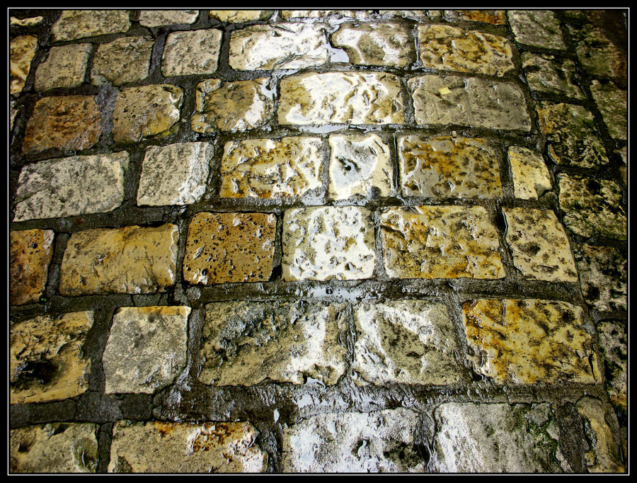 Pavement.jpg