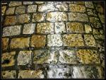 Pavement.jpg