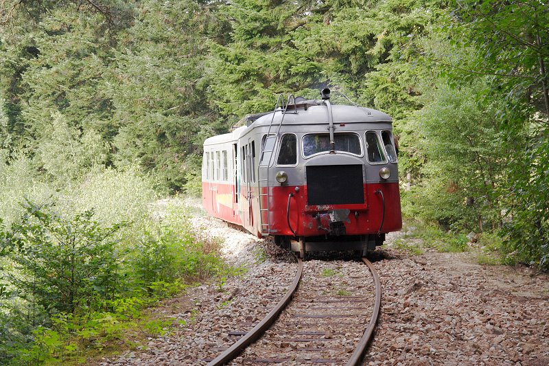 Train1.jpg