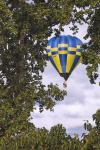 Montgolfiere18.jpg