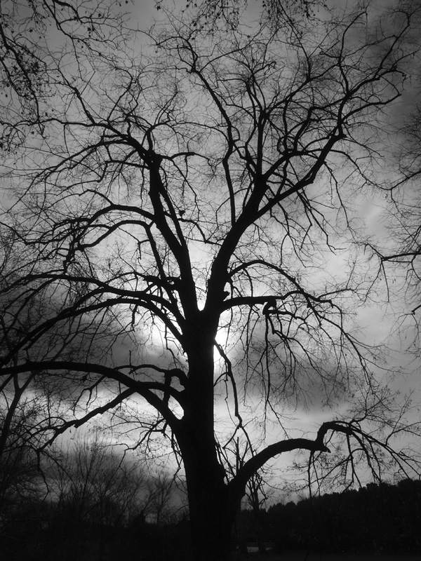 Pict0159.jpg