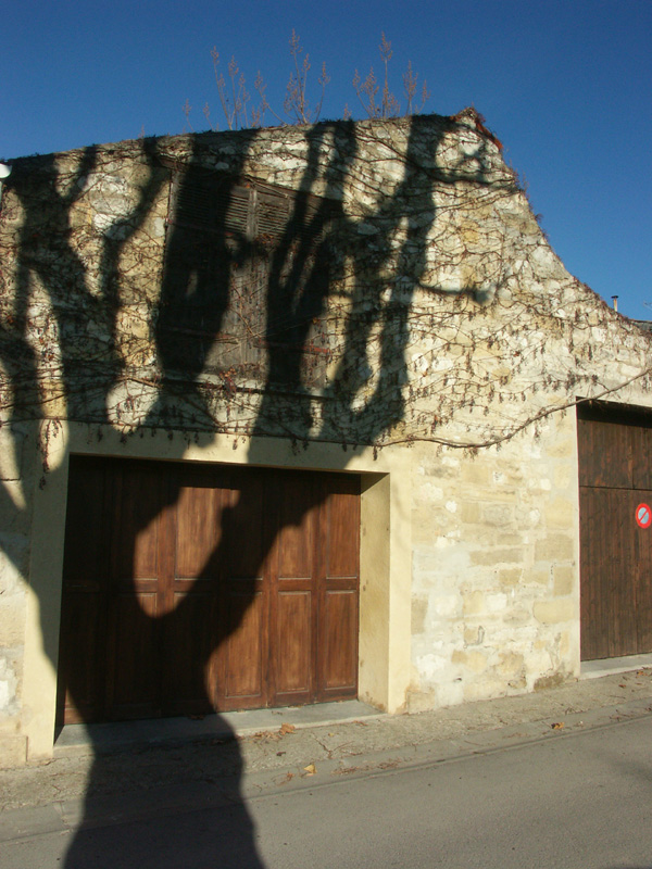 Pict1039.jpg