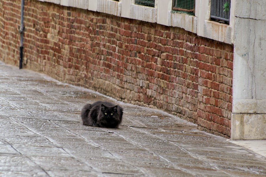 cannaregio2.jpg
