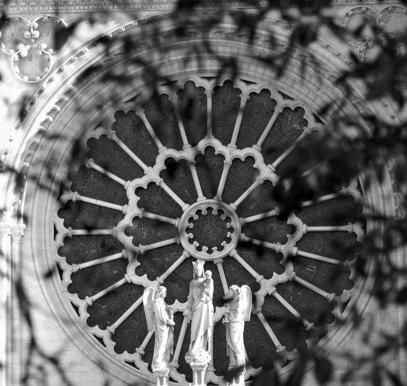 parisocto05-1.jpg