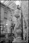 passage_pommeraye_4.jpg